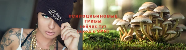 гидропоника Алзамай