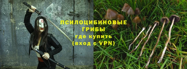 гидропоника Алзамай