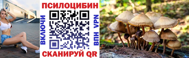 маркетплейс Telegram  продажа наркотиков  Ленинск-Кузнецкий  Галлюциногенные грибы Magic Shrooms 