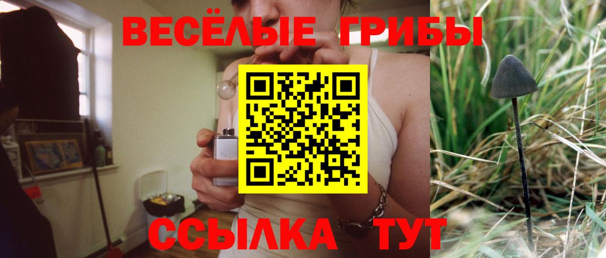 Галлюциногенные грибы Magic Shrooms Ленинск-Кузнецкий