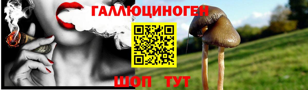 Ленинск-Кузнецкий  Псилоцибиновые грибы Psilocybe  Вход с VPN 